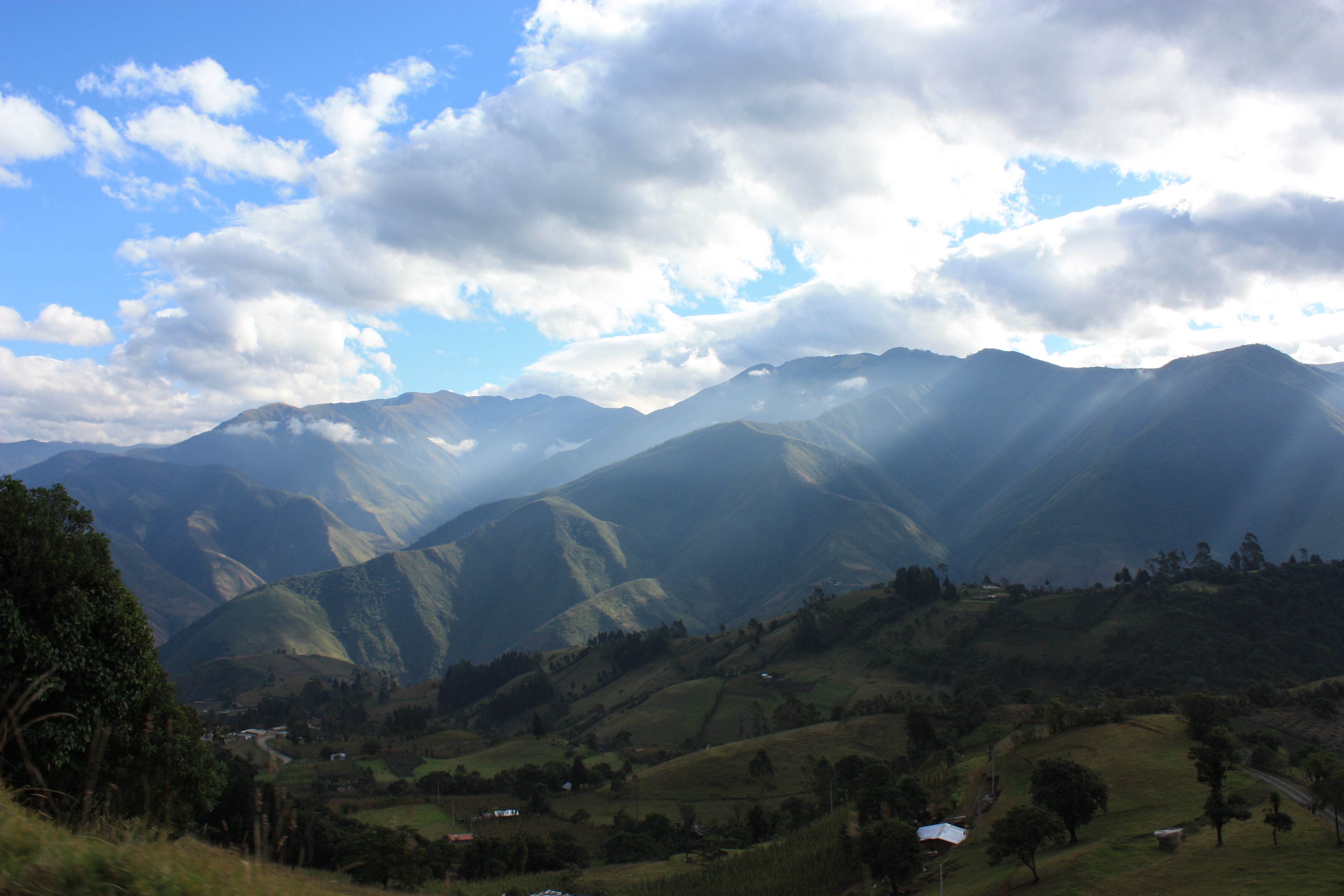 Landscape attributes determine restoration outcomes in the Ecuadorian Andes