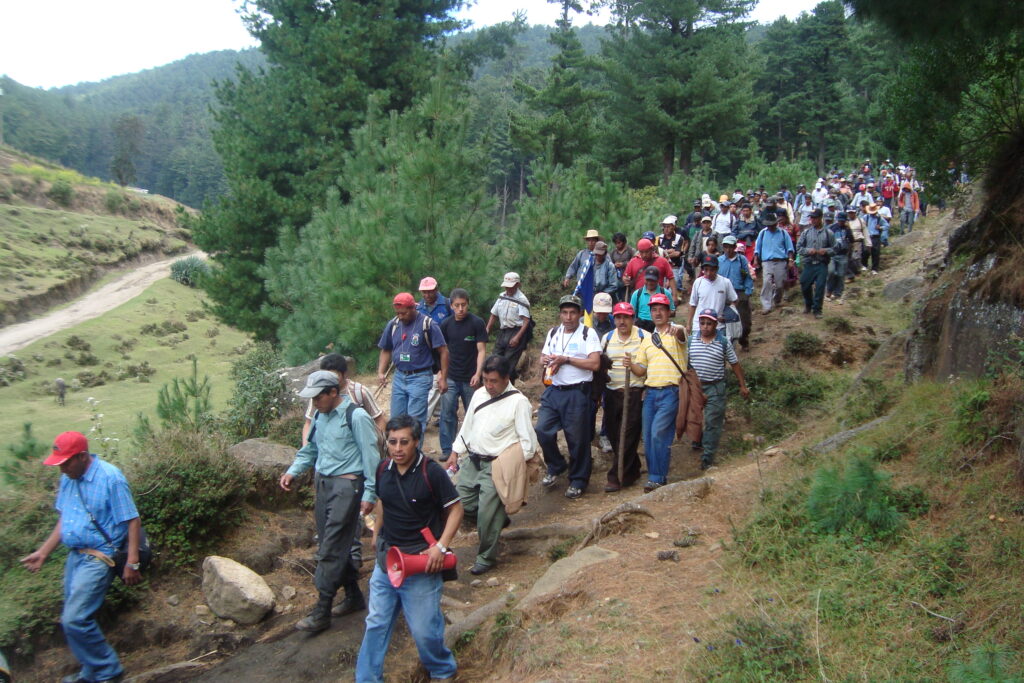 Forest management in Totonicapan, Guatemala (Photo: Ecologic)