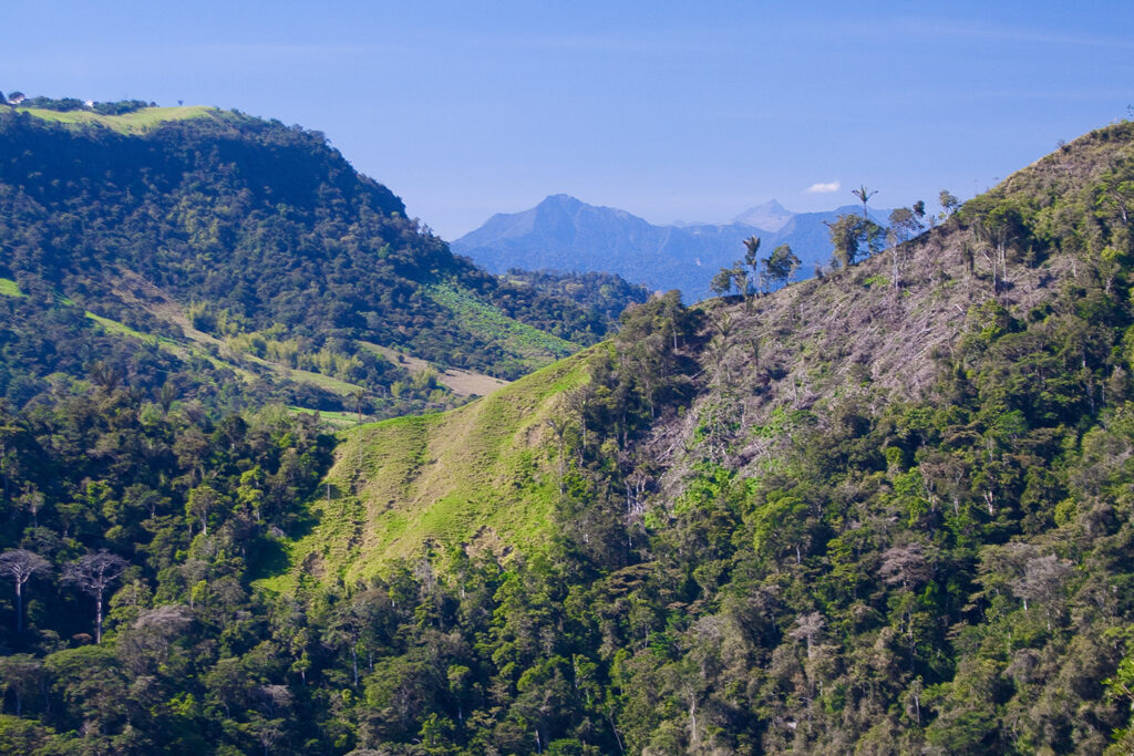 Clearing and natural regeneration in Andean forests, Intag, Ecuador (Photo: Jake Brennan)