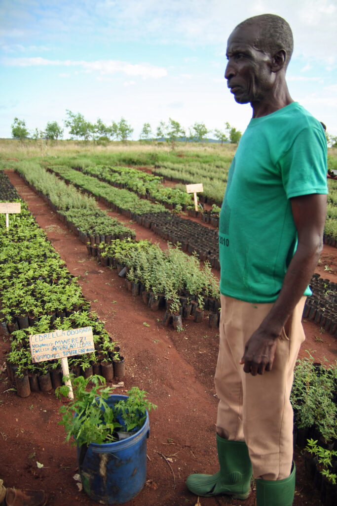 Farmer collecting seedlings to plant on his farm in Tanzania (Photo: WeForest)