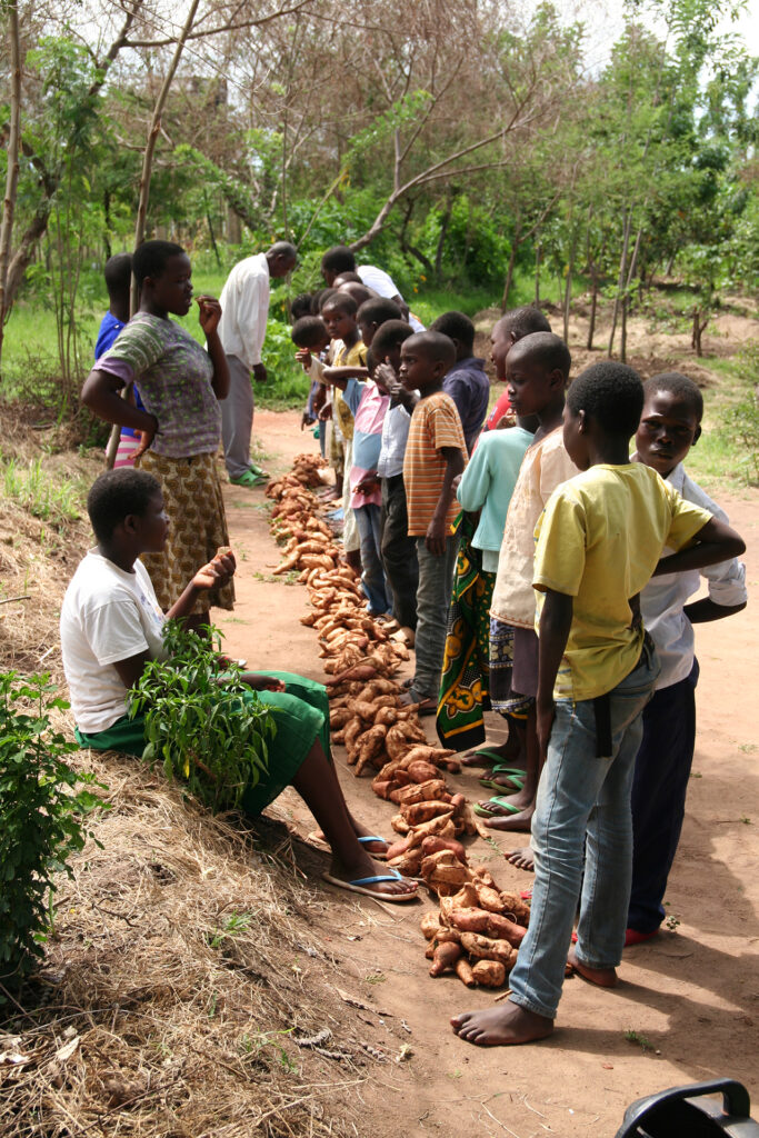 Dividing up harvest from a communal agforestry system in Tanzania (Photo: WeForest)